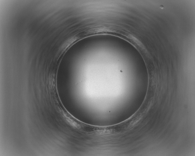 X0000062610793200512281502