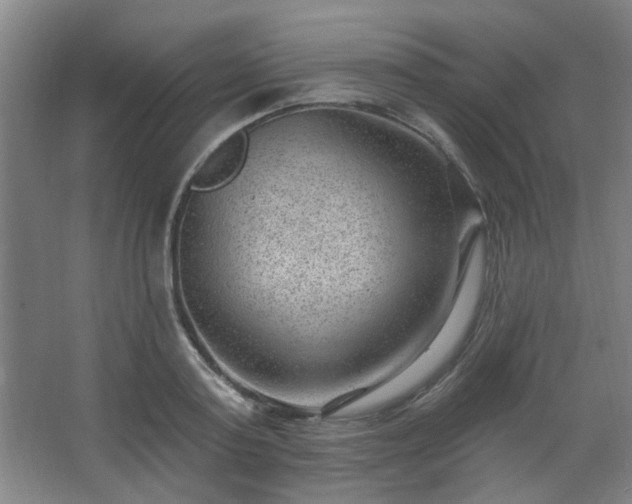 X0000062610795200512281502