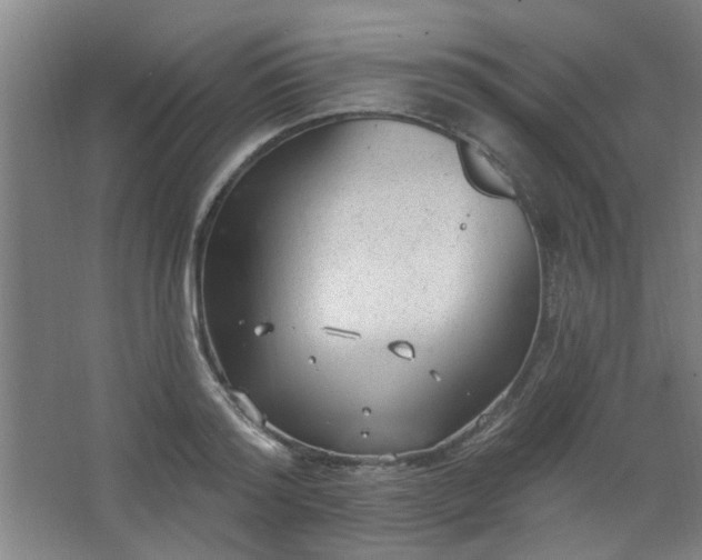 X0000062610796200512281502