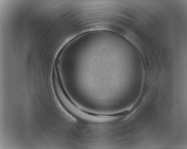 X0000062610797200512281502