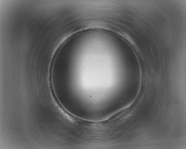 X0000062610799200512281502