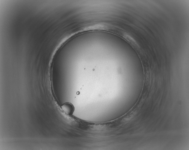 X0000062610800200512281502