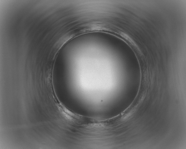 X0000062610801200512281502