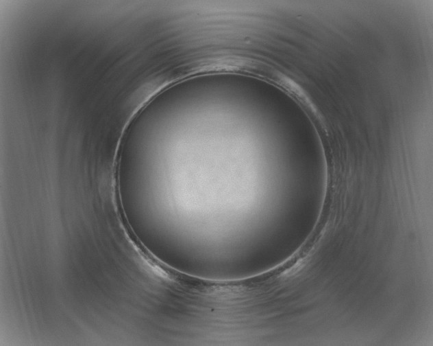 X0000062610802200512281502