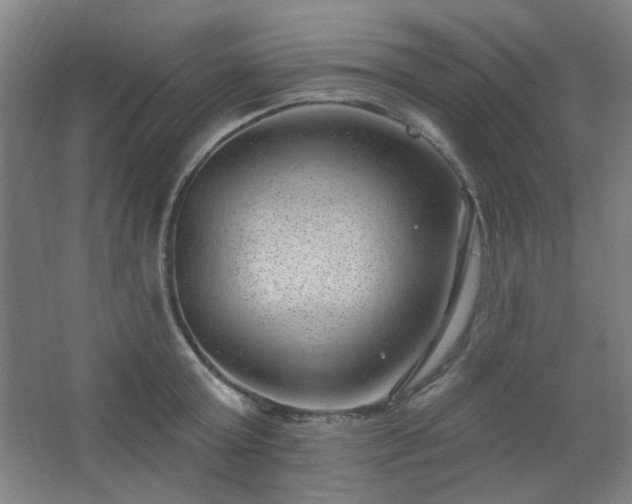 X0000062610803200512281502