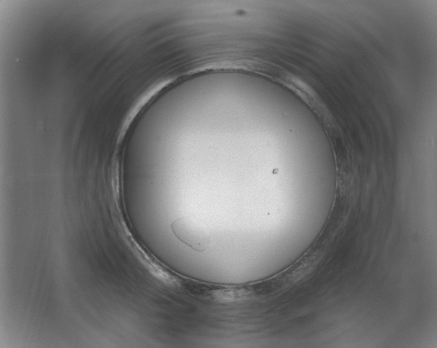 X0000062610804200512281502