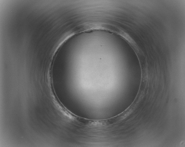 X0000062610806200512281502