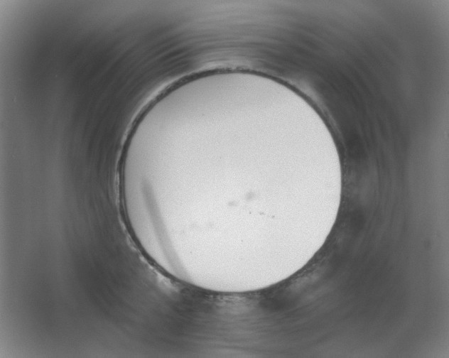 X0000062610807200512281502