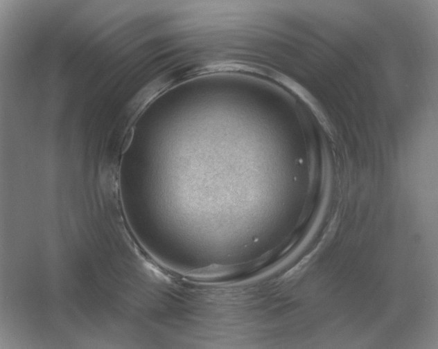 X0000062610809200512281502