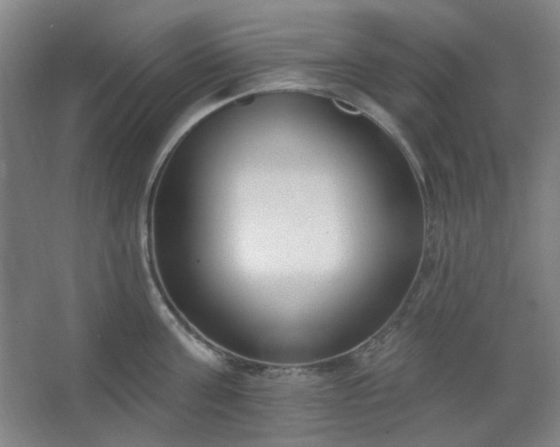 X0000062610811200512281502