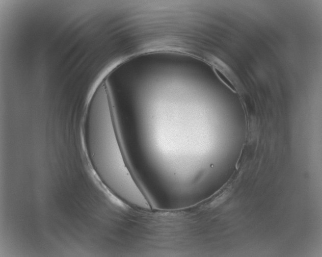 X0000062610812200512281502