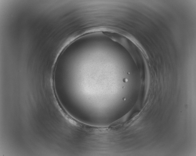 X0000062610813200512281502