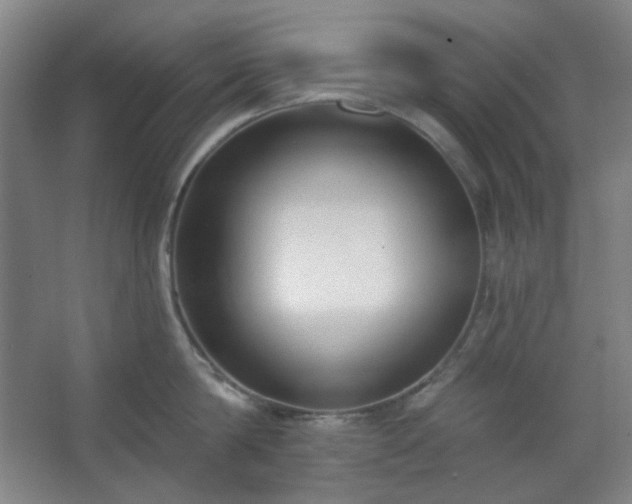 X0000062610814200512281502