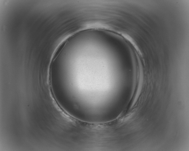 X0000062610815200512281502