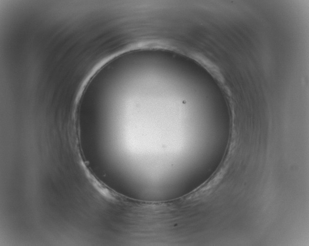 X0000062610816200512281502