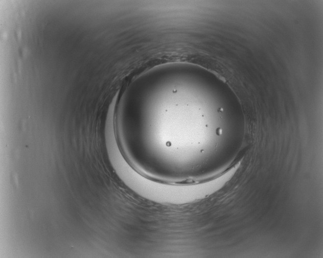 X0000062610818200512281501