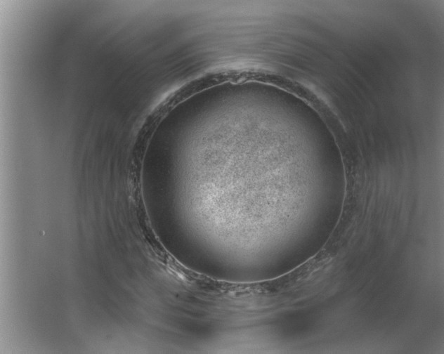 X0000062610823200512281501