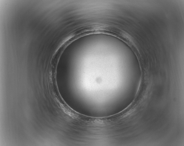 X0000062610827200512281501