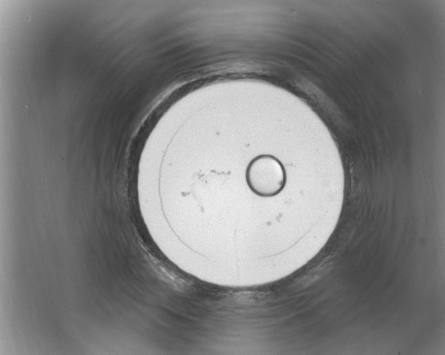 X0000062610828200512281501