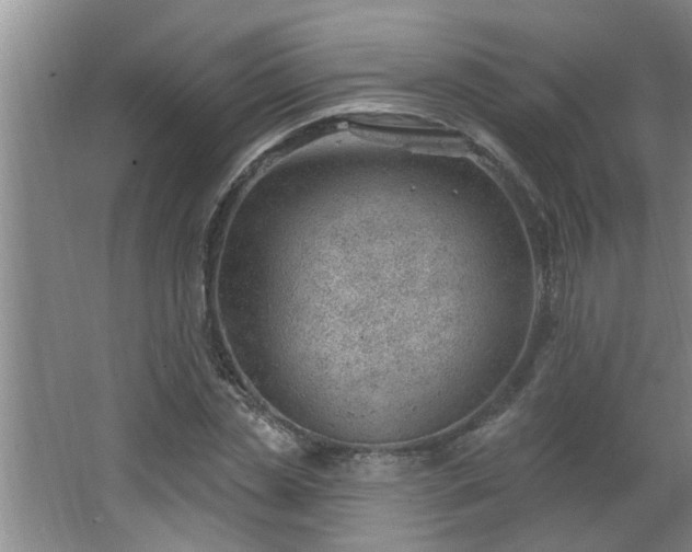 X0000062610829200512281501