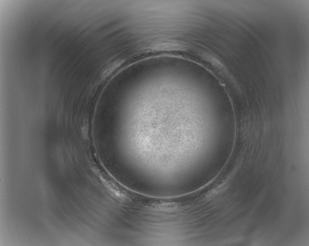 X0000062610833200512281501