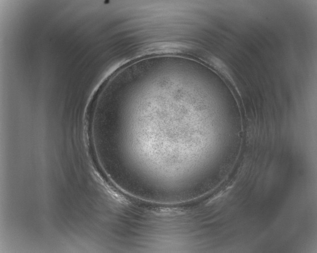 X0000062610835200512281501