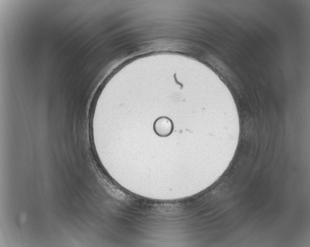 X0000062610836200512281501