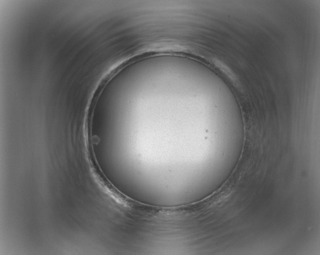 X0000062610840200512281501