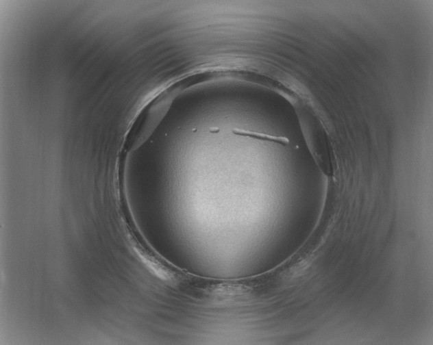 X0000062610842200512281501