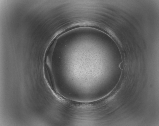 X0000062610845200512281501