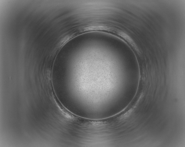 X0000062610849200512281501