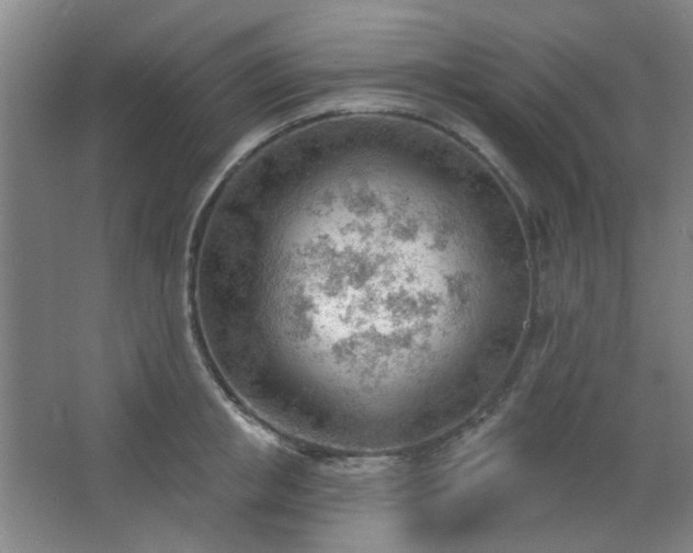 X0000062610853200512281501