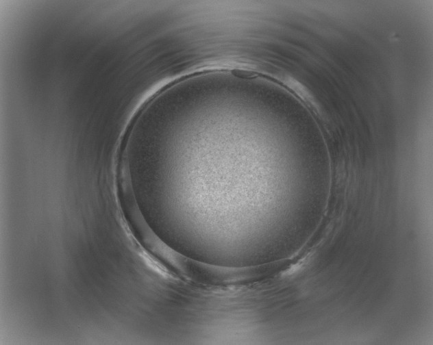 X0000062610854200512281501