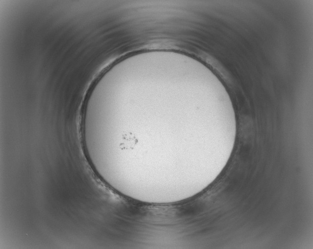 X0000062610856200512281501