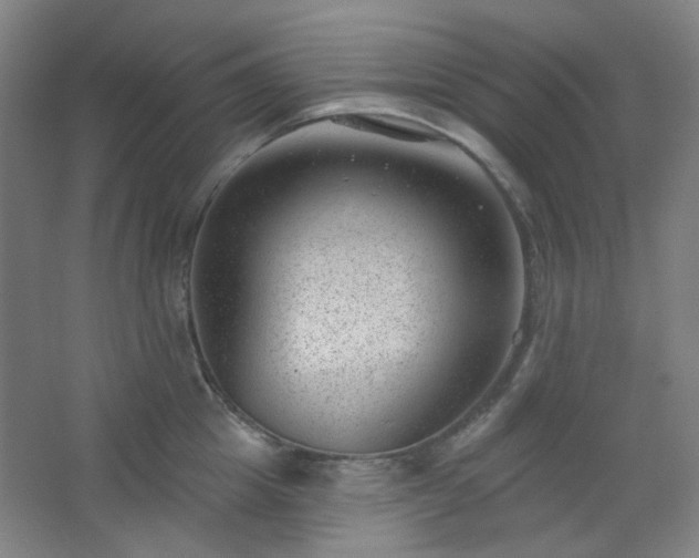 X0000062610857200512281502