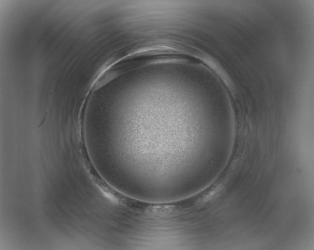 X0000062610858200512281502