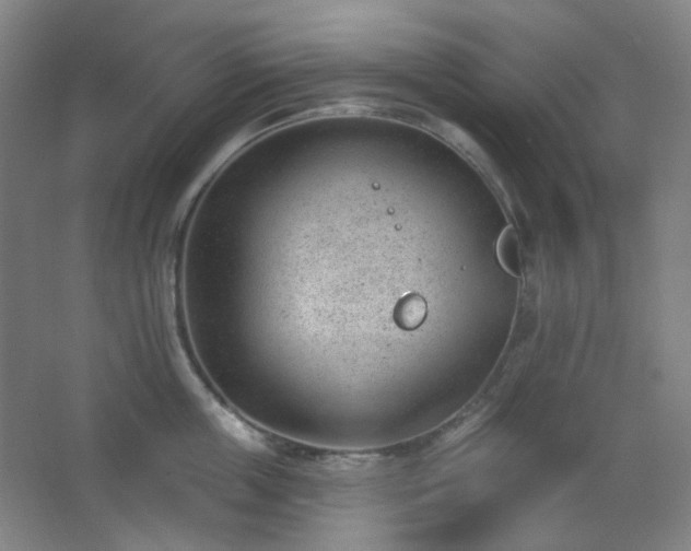 X0000062610859200512281502