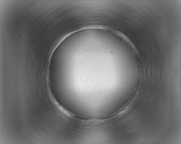 X0000062610860200512281502