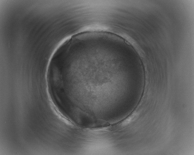 X0000062610864200512281502