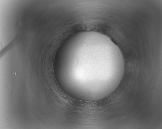 X0000062610865200512281501