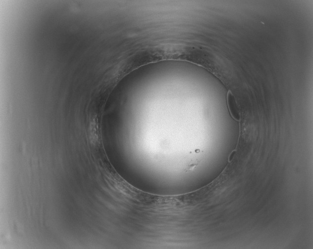 X0000062610866200512281501