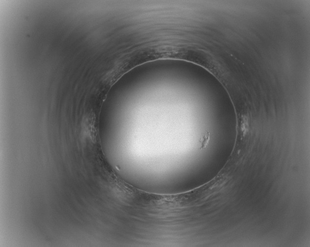 X0000062610867200512281501