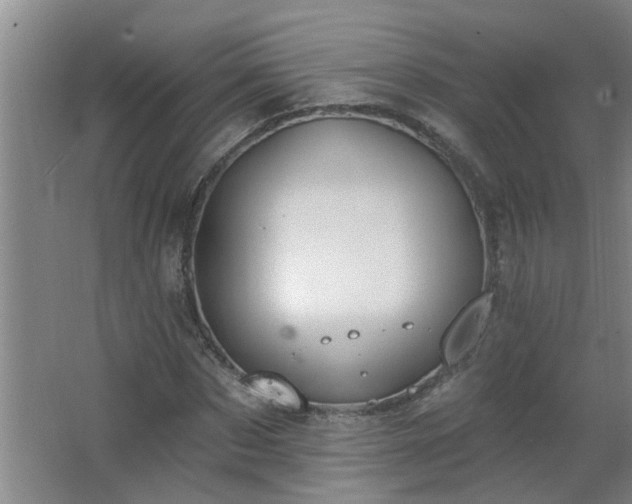 X0000062610873200512281501