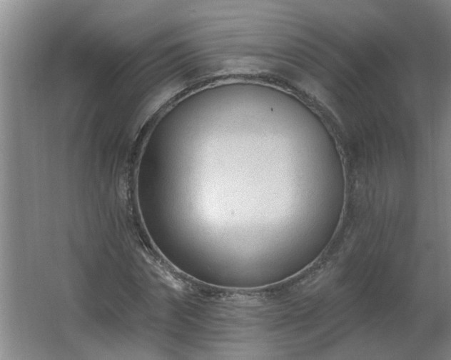 X0000062610874200512281501