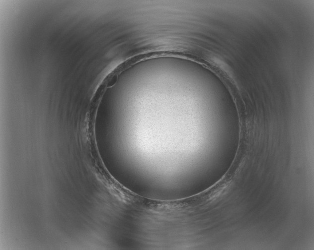 X0000062610875200512281501