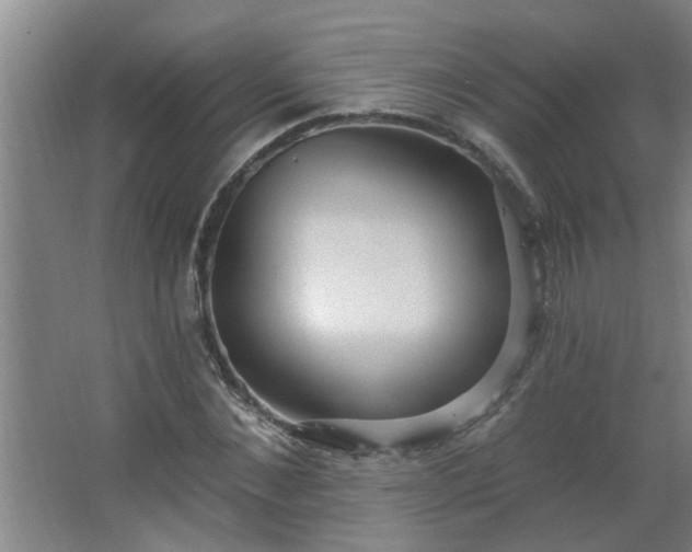 X0000062610876200512281501