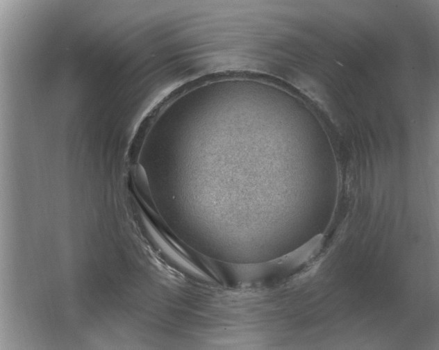 X0000062610877200512281501