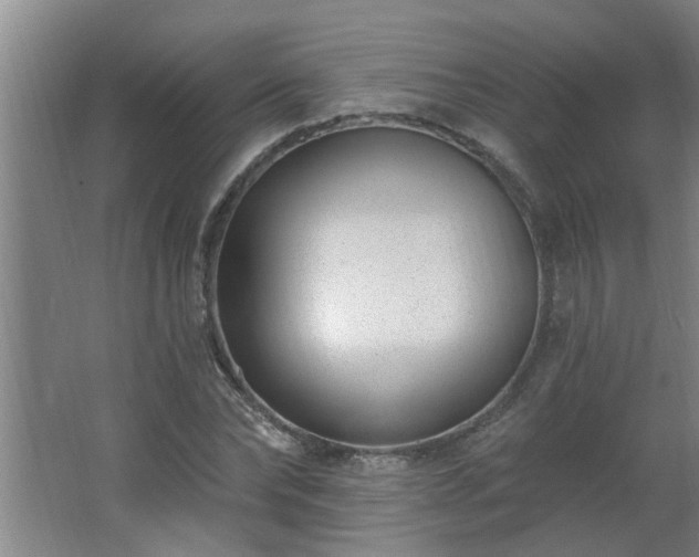 X0000062610878200512281501