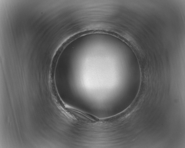 X0000062610880200512281501