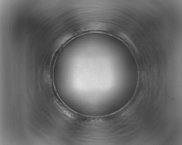 X0000062610882200512281501